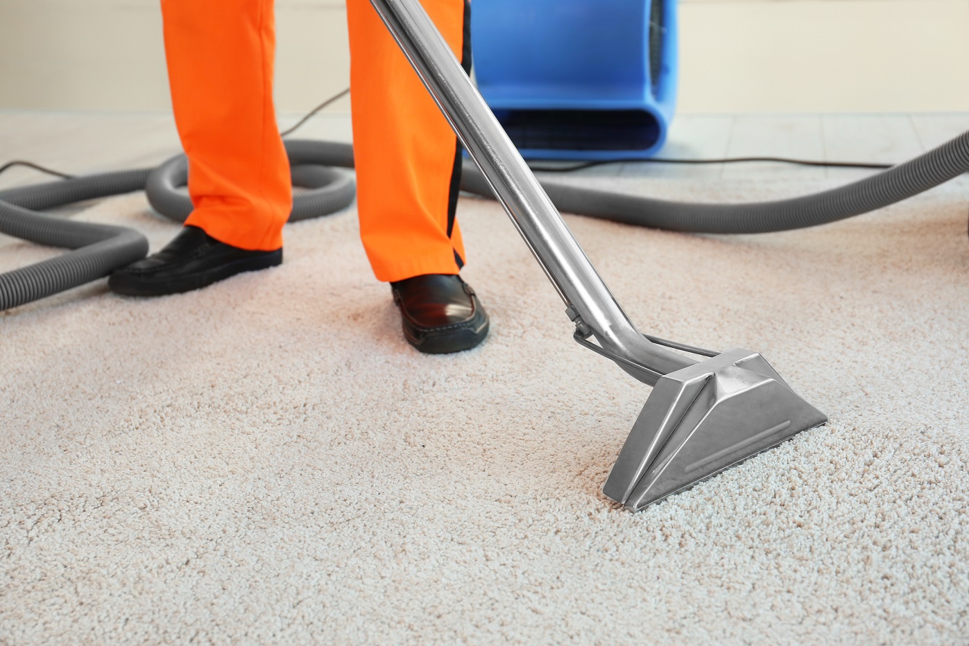 Professional carpet cleaning services in Wakefield