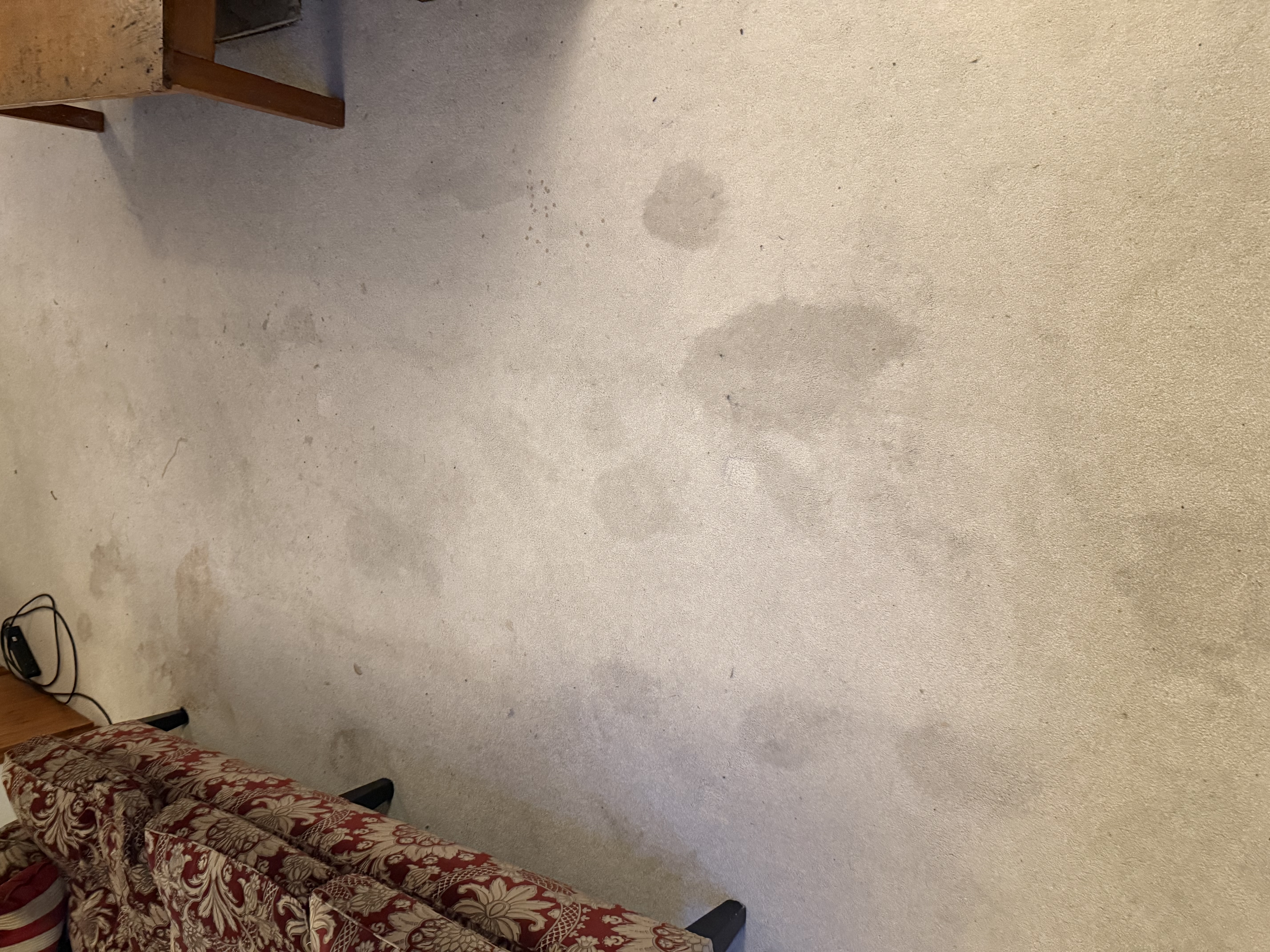 Professional carpet and floor cleaning results