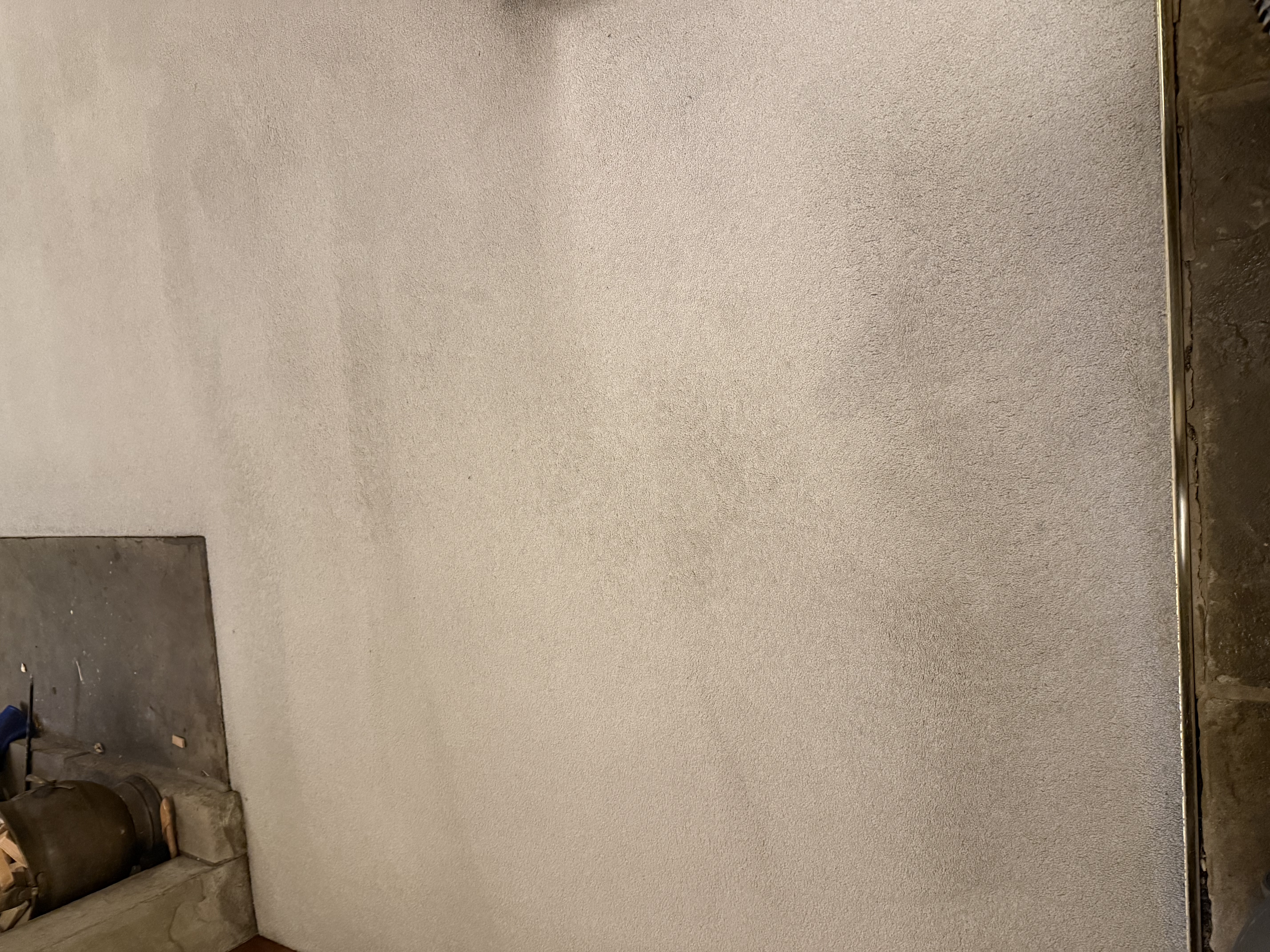 Pet stain and odour removal results